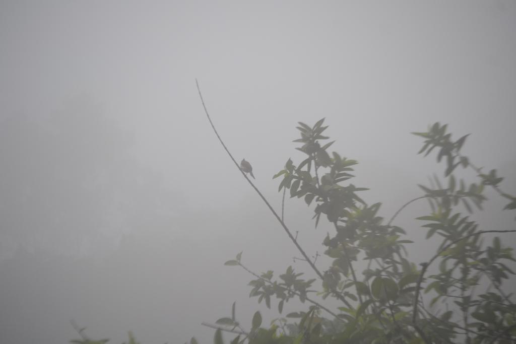 Munnar Heritage Cottage Esterno foto